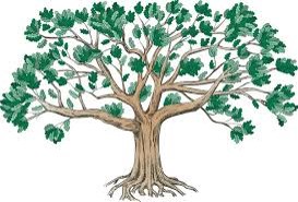 GENEALOGIE GENEALOGIE