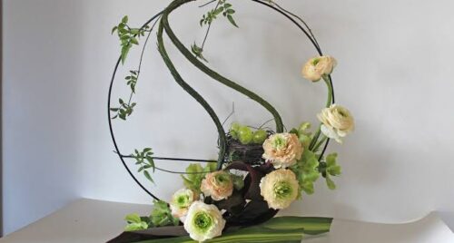 images images